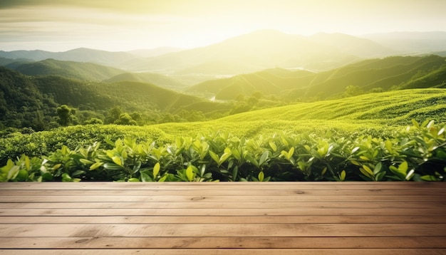 Holzterrasse mit grüner Teeplantage bei Sonnenaufgang