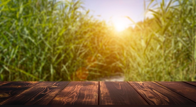 Holztisch auf grünem Gras unscharfer Hintergrund Display zur Anzeige des Produktkonzepts