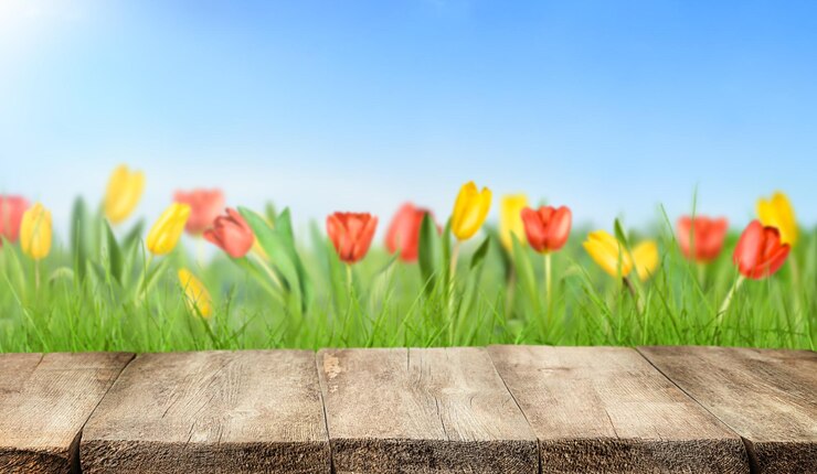 Foto holztisch leer und tulpen im hintergrund