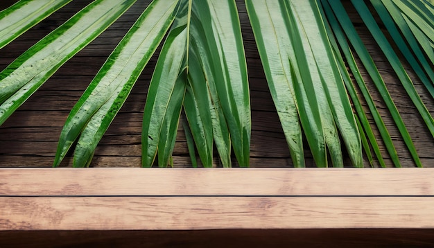 Holztisch mit tropischen Blättern im Hintergrund, leerer Holztisch zur Produktpräsentation