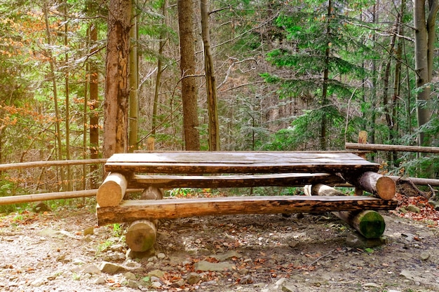 Holztisch und Bänke im Wald