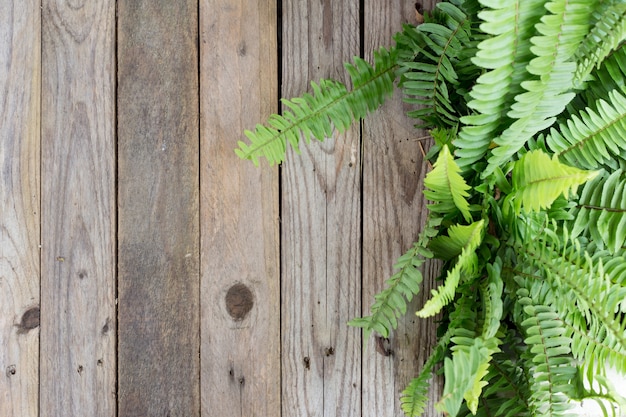 Holztisch und Farn Blatt für den Hintergrund