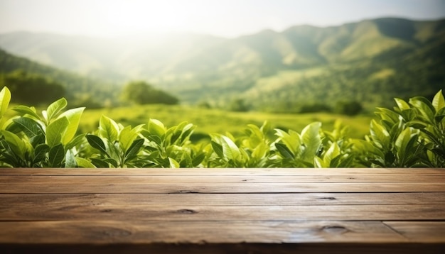 Holztisch vor der Teeplantage verschwommener Hintergrund