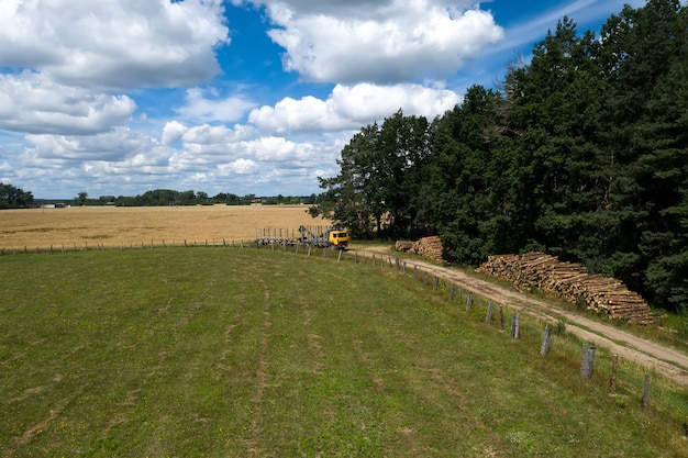 Holztransporter mit Holzheberkran sammelt gefällte Bäume.