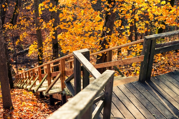 Holztreppe am Herbsttag