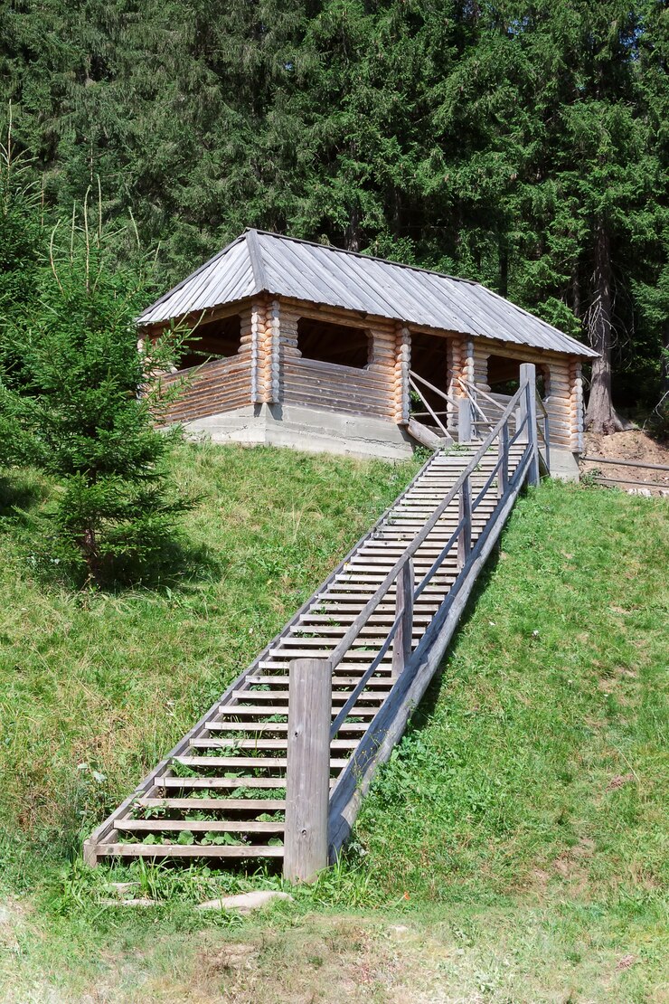 Foto holztreppe zur holzhütte in einer extremen waldnahaufnahme