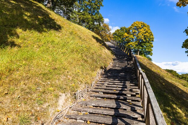 Foto holztreppen, die den hügel und den wald hinaufgehen