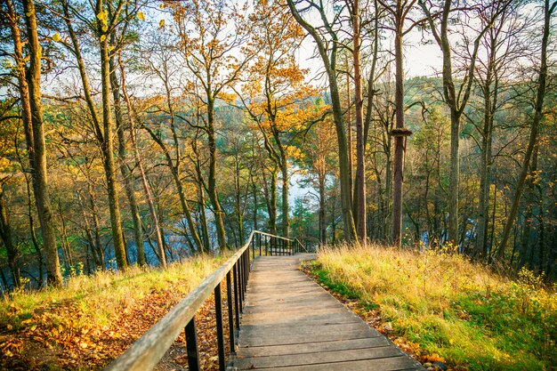 Holztreppen im Regionalpark im Herbst