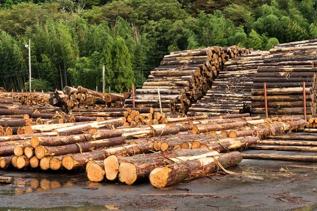 Holzvorbereitung