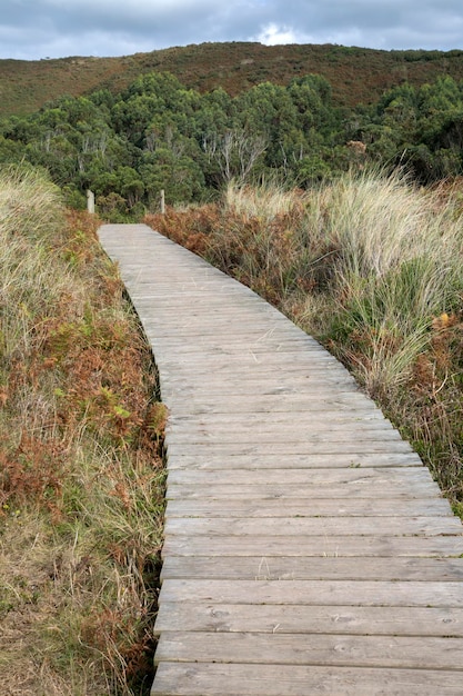 Holzwanderweg und Natur am Strand von Xago Asturien Spanien