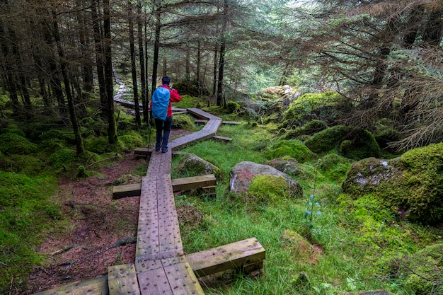 Holzweg in Wicklow-Art mit einem Ausflugsmädchen.