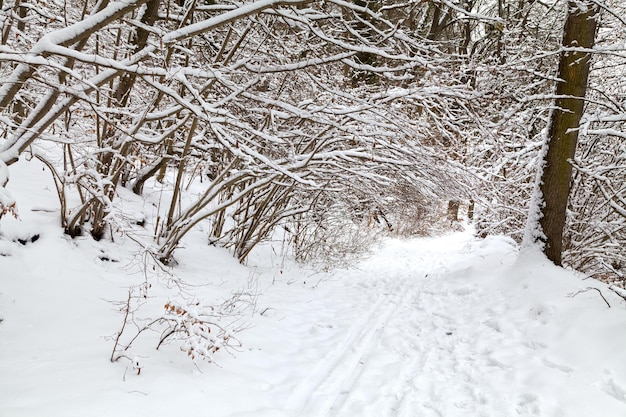 Holzweg mit Schnee bedeckt