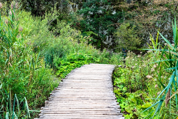 Holzweg über wasser im nationalpark plitvicer.