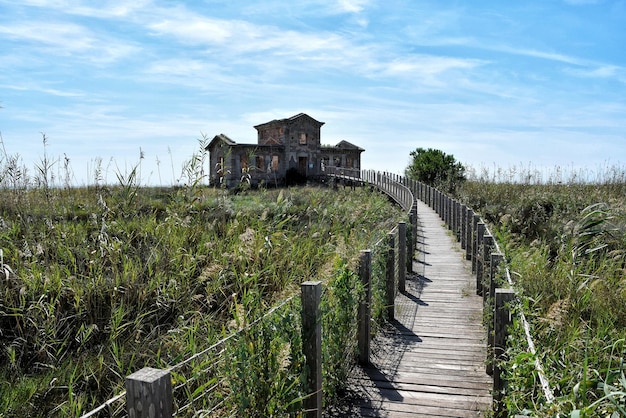 Holzweg zum alten Aussichtspunkt Semafor im Delta de Llobregat, Barcelona