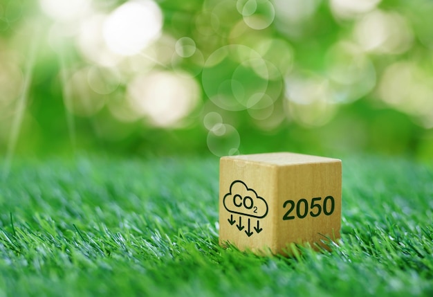 Foto holzwürfel mit wort 2050-zahlen und co2-symbol über grünem bokeh-naturhintergrundumweltbetriebsführung co2-freies projekt im ziel- und co2-emissionsreduzierungskonzeptkopierraum