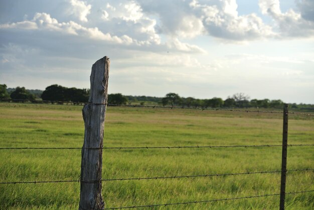 Foto holzzaun auf dem feld gegen den himmel