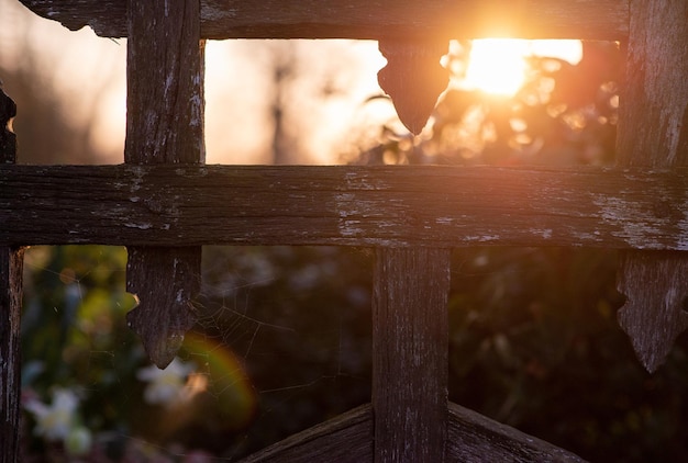 Holzzaun, der ein Blumenbeet bei Sonnenuntergang umschließt