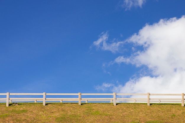 Holzzaun mit Gras und blauem Himmel