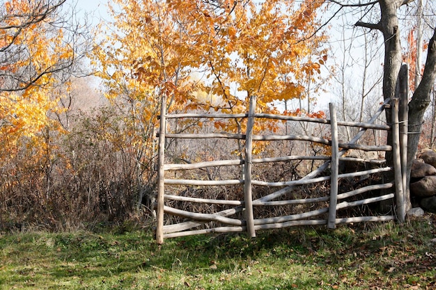 Holzzaun und Blätter im Herbst