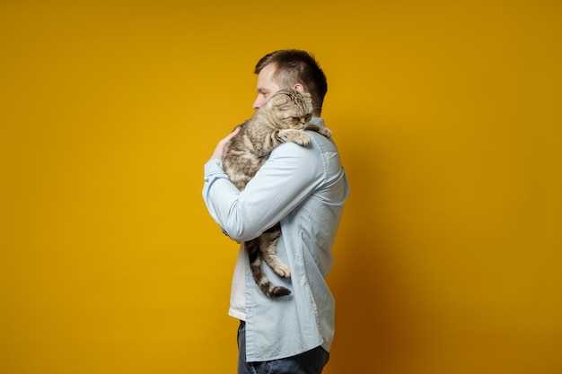 El hombre abraza a su amado gato Scottish Fold, ella está muy molesta y se ve triste