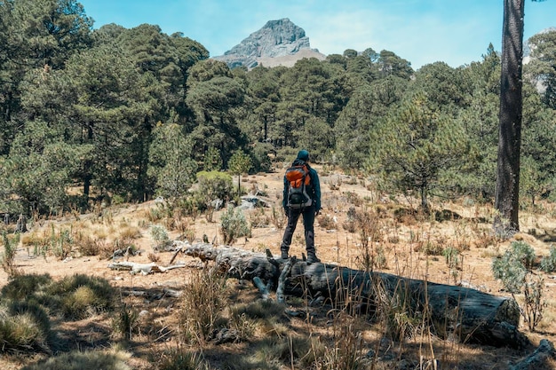 Hombre admirando la belleza natural del bosque.