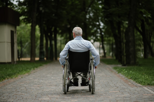 Hombre adulto discapacitado en silla de ruedas caminando en el parque