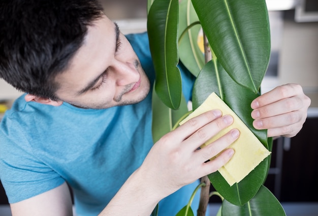 Hombre adulto limpieza pipal en cocina