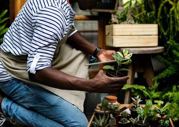 Hombre adulto revisando plantas fuera de la tienda de flores