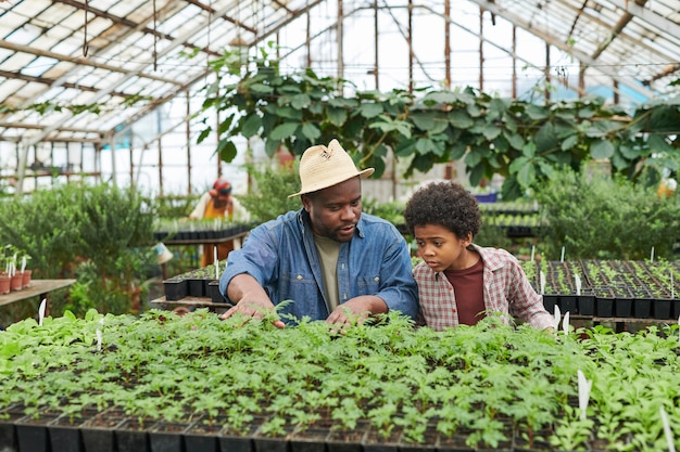 Hombre africano mostrando las plántulas de plantas y contándoles al niño mientras trabajan en invernadero