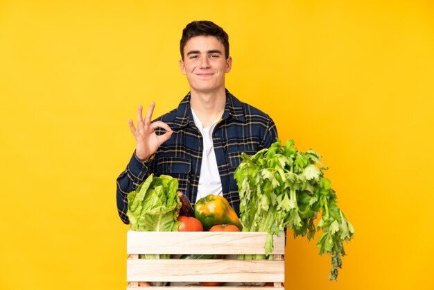 Hombre agricultor adolescente con verduras recién cortadas en una caja que muestra un signo bien con los dedos