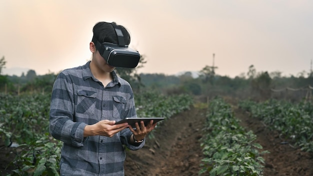 Hombre agricultor inteligente con tecnología de gafas de realidad visual y tableta digital mientras está de pie en una granja agrícola.