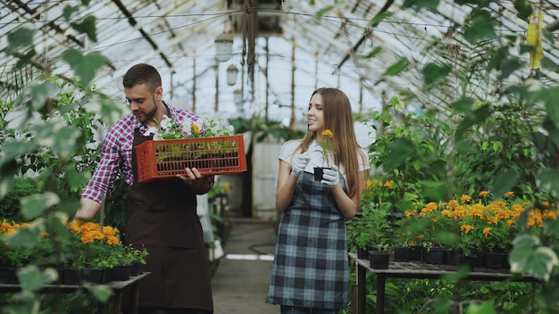 Hombre alegre con caja de flores mujer hablando planta suelta