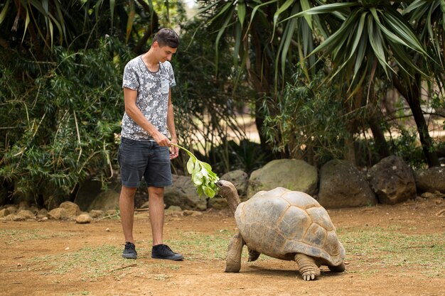 Foto el hombre alimenta con una rama verde una gran y vieja tortuga gigante de aldabra, la tortuga aldabrachelys gigantea seychelles y le da unas palmaditas en una armadura.