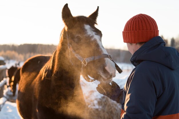 Hombre alimentando a caballo en una granja o rancho en el campo en un día soleado de invierno helado