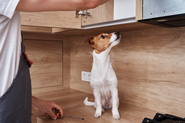 Foto hombre con un armario de cocina de fijación de perro