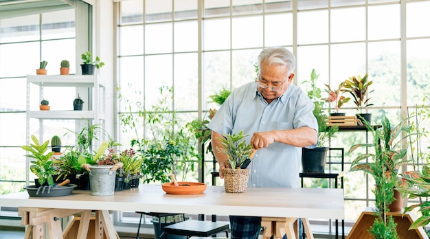 A un hombre asiático jubilado le encanta cuidar las plantas recogiendo la tierra en preparación para plantar árboles en el jardín interior. Actividades de jubilación.