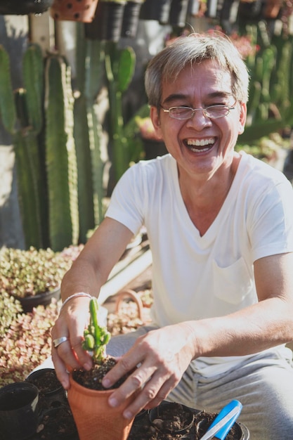 Hombre asiático mayor riéndose de felicidad mientras planta plantas suculentas