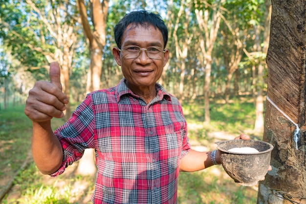 Hombre asiático Senior Farmer, hombre asiático agricultor en plantaciones de caucho