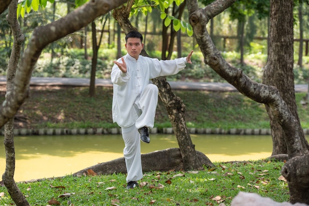 Hombre asiático trabajando con Tai Chi en la mañana en el parque, artes marciales chinas