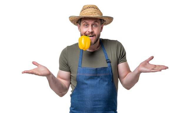 Foto hombre asombrado en delantal y sombrero morder pimiento vegetal aislado en blanco