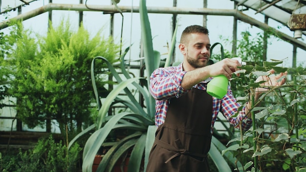 Hombre atractivo jardinero en delantal regando plantas y flores con rociador de jardín en invernadero