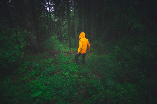 Un hombre aventurero con una chaqueta amarilla está explorando una jungla misteriosa.