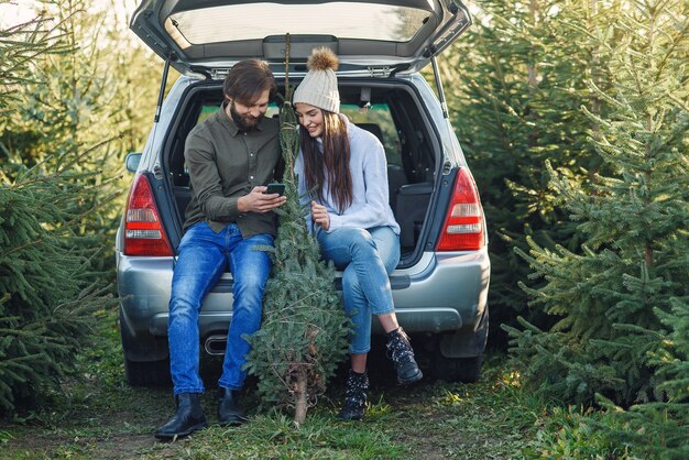 Hombre barbudo alegre y mujer bonita con sombrero sentado en el maletero del coche sosteniendo abeto y usando el teléfono inteligente en el área de la plantación