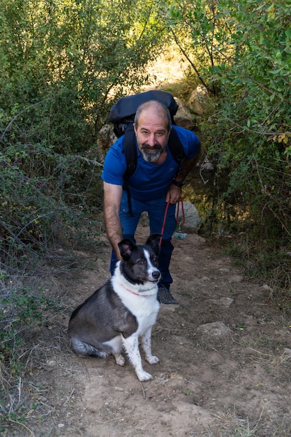 hombre barbudo caminando y jugando con su perro border collie en el bosque en un día soleado