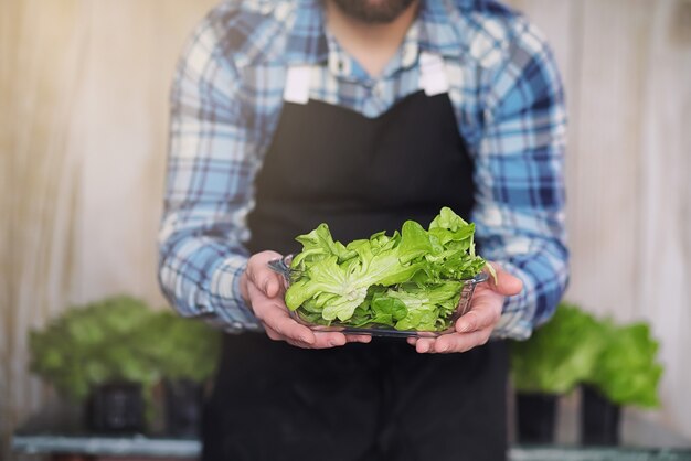 Hombre barbudo en delantal y guantes sostiene un plato de ensalada verde fresca