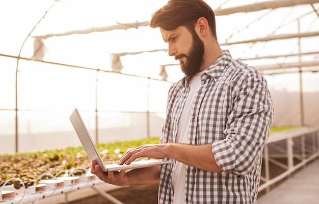 Hombre barbudo joven en camisa a cuadros usando la computadora portátil para controlar el riego automático dentro del invernadero hidropónico moderno