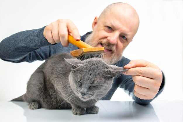 Foto hombre barbudo peina el pelaje de un gato gris con un pincel sobre un fondo blanco