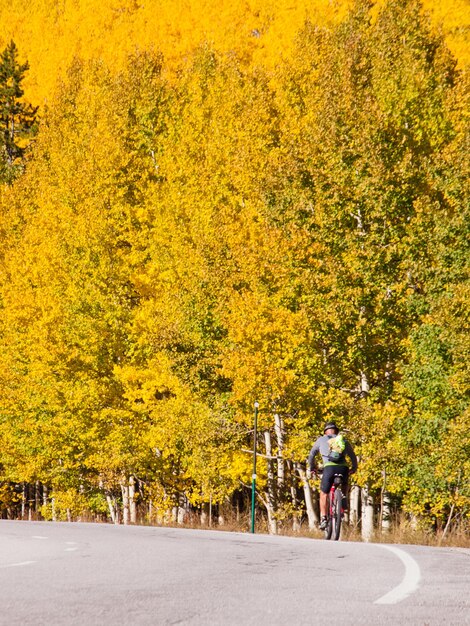 Hombre en bicicleta por la colina en el lado de la carretera de montaña en otoño, Colorado.
