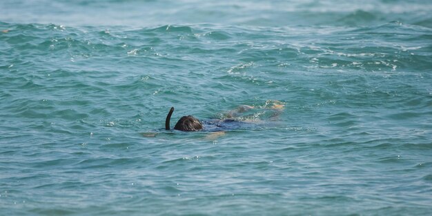 Hombre buceando en el océano durante las vacaciones de verano