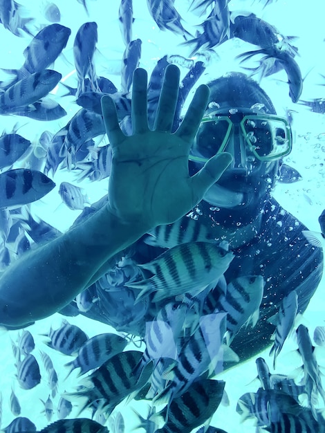 Hombre buzo con una máscara de snorkel muestra la mano abierta bajo el agua entre un grupo de peces rayados tropicales